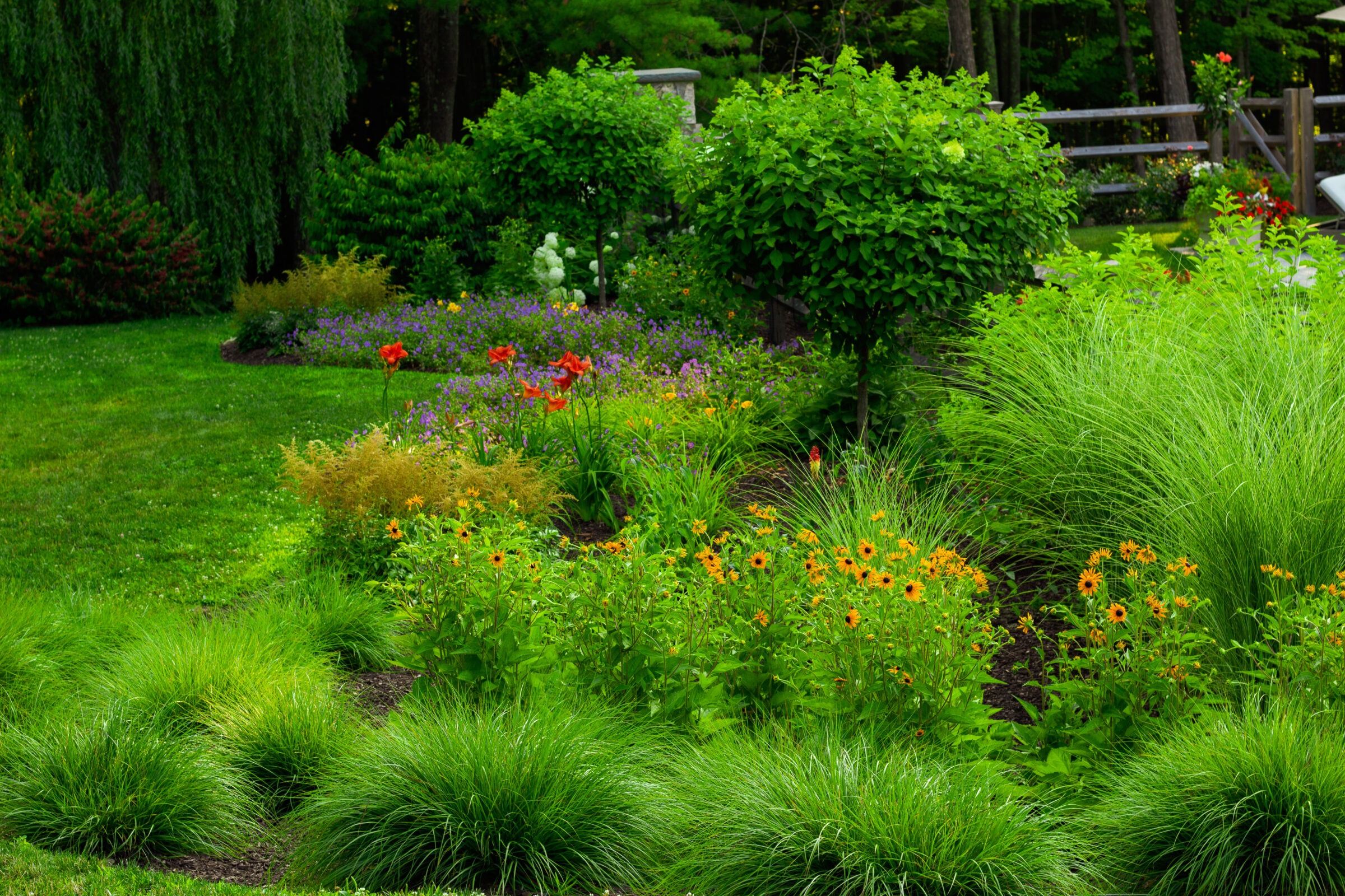 A lush garden with vibrant flowers, ornamental grasses, and green foliage. A wooden fence and weeping willows are visible in the background.