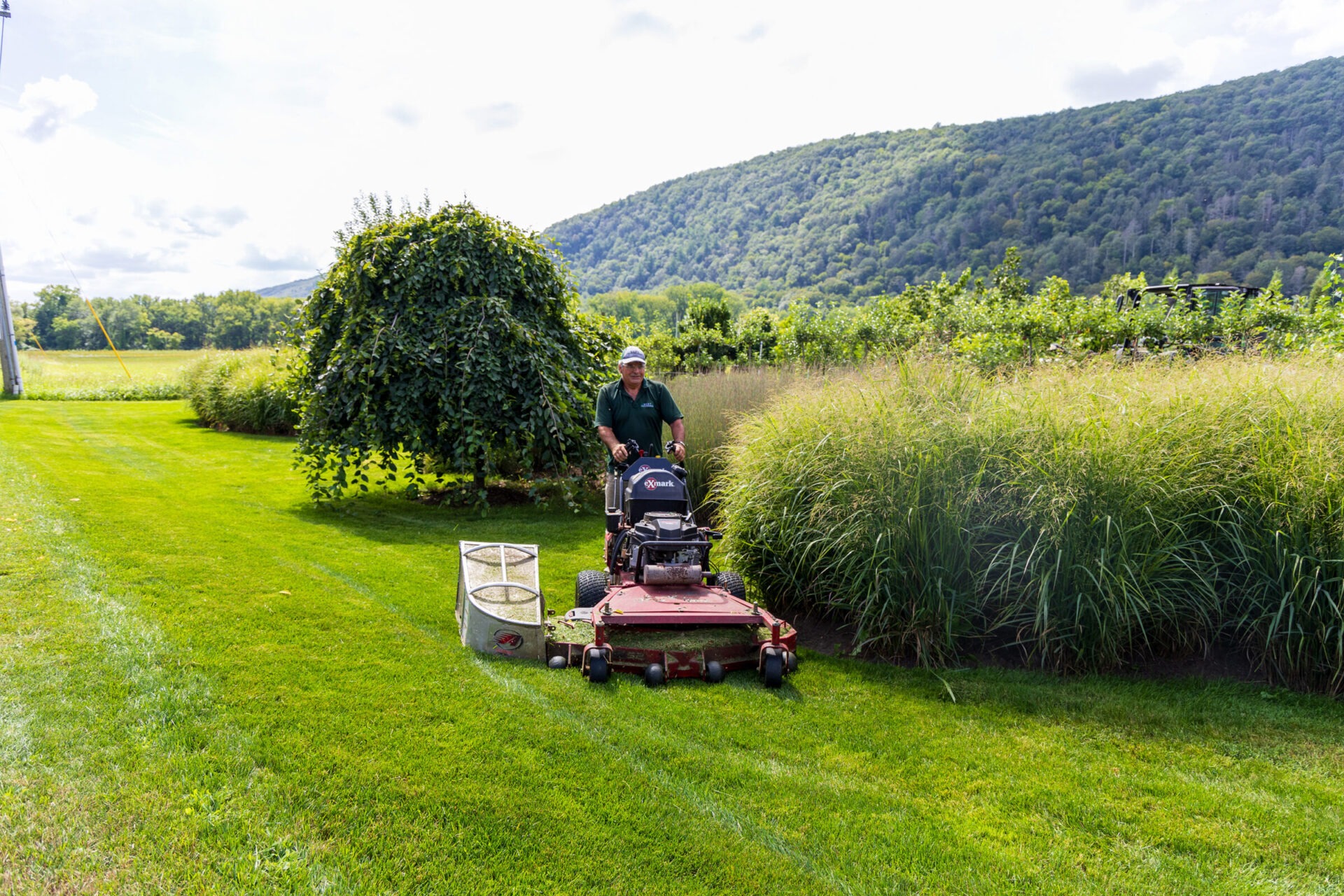 A person is operating a red riding lawn mower on a manicured lawn with trees, shrubbery, and a lush hillside in the background on a sunny day.